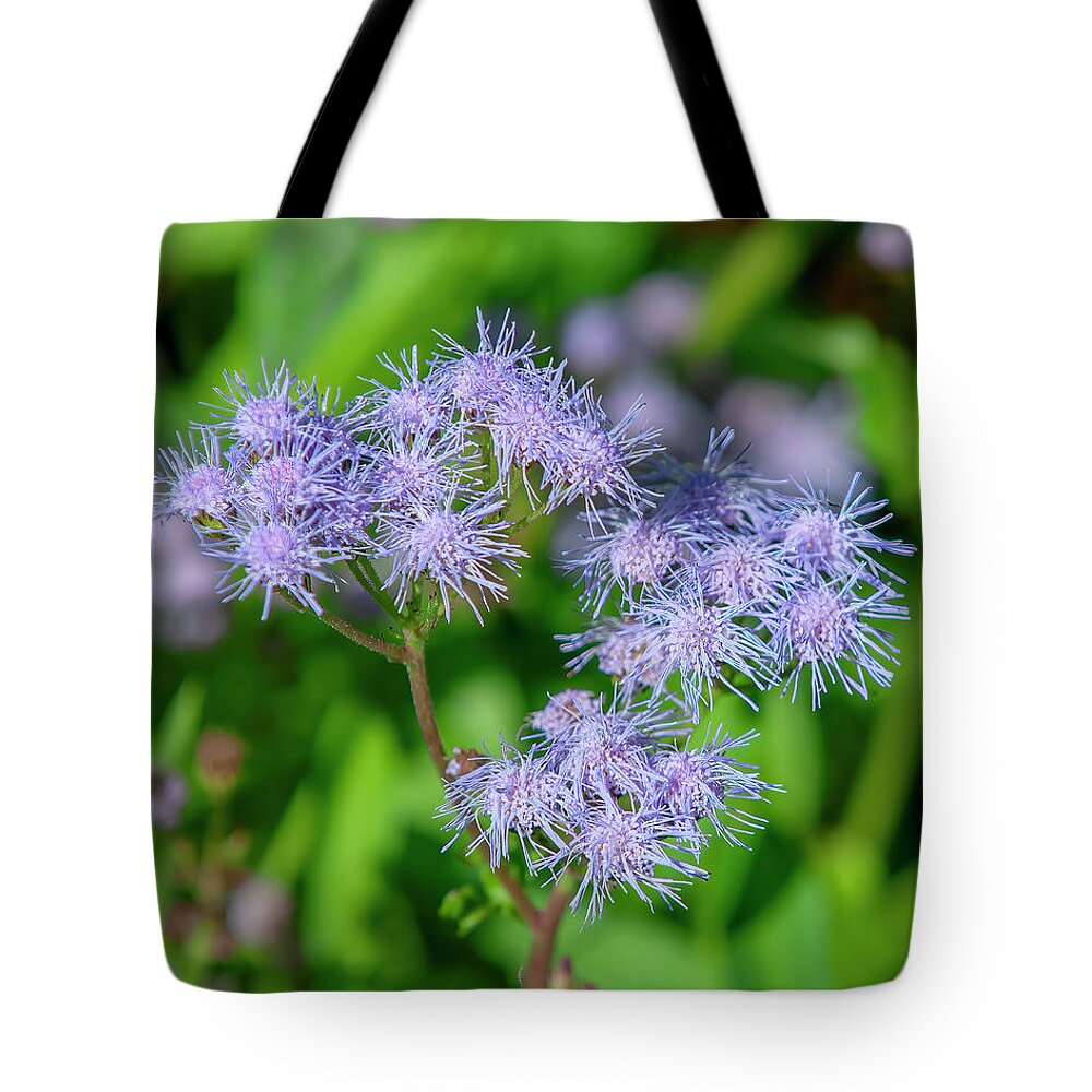 Aster Family Tote Bag featuring the photograph Blue Mistflower DFL1215 by Gerry Gantt