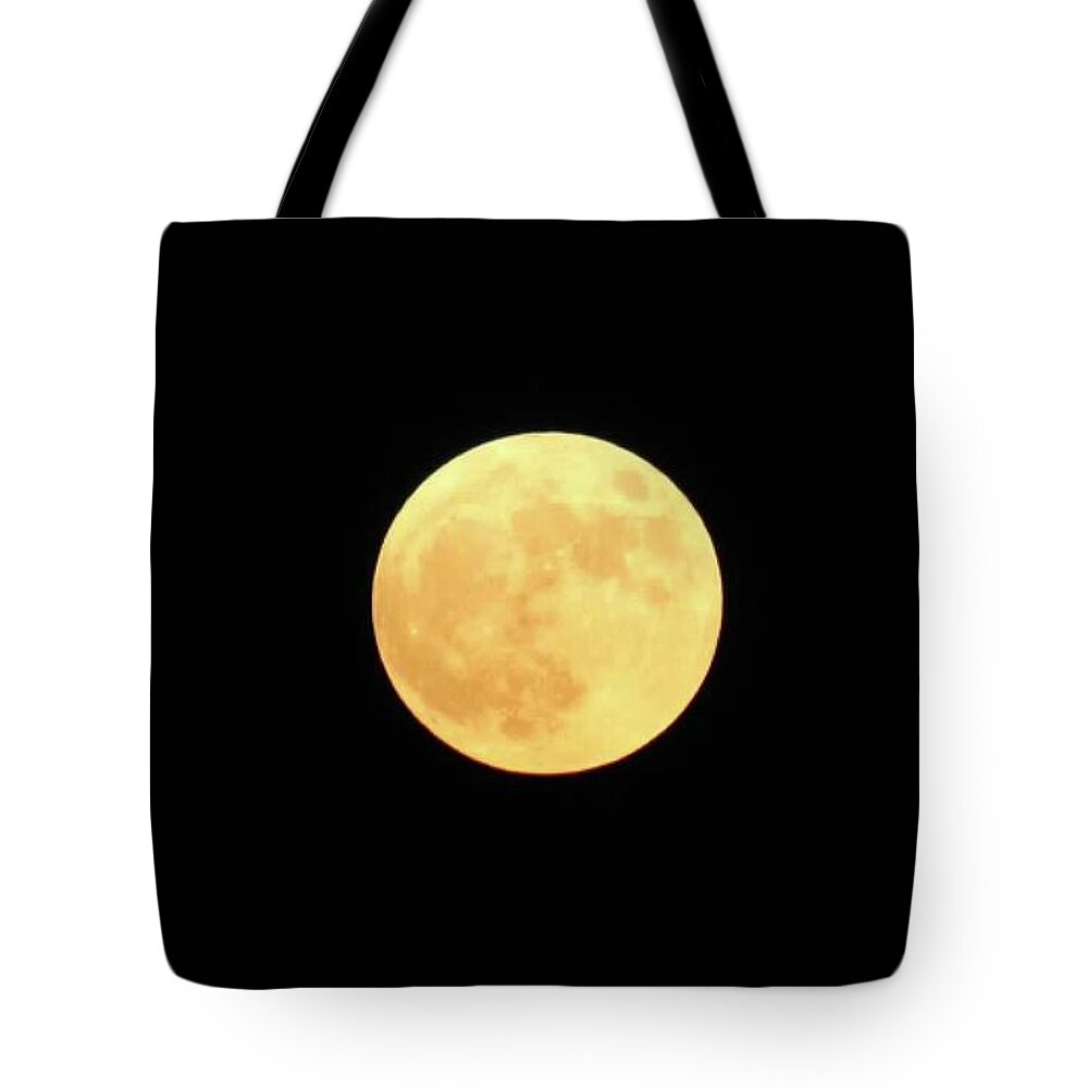 Moon Tote Bag featuring the photograph Blue Moon by Beth Vincent