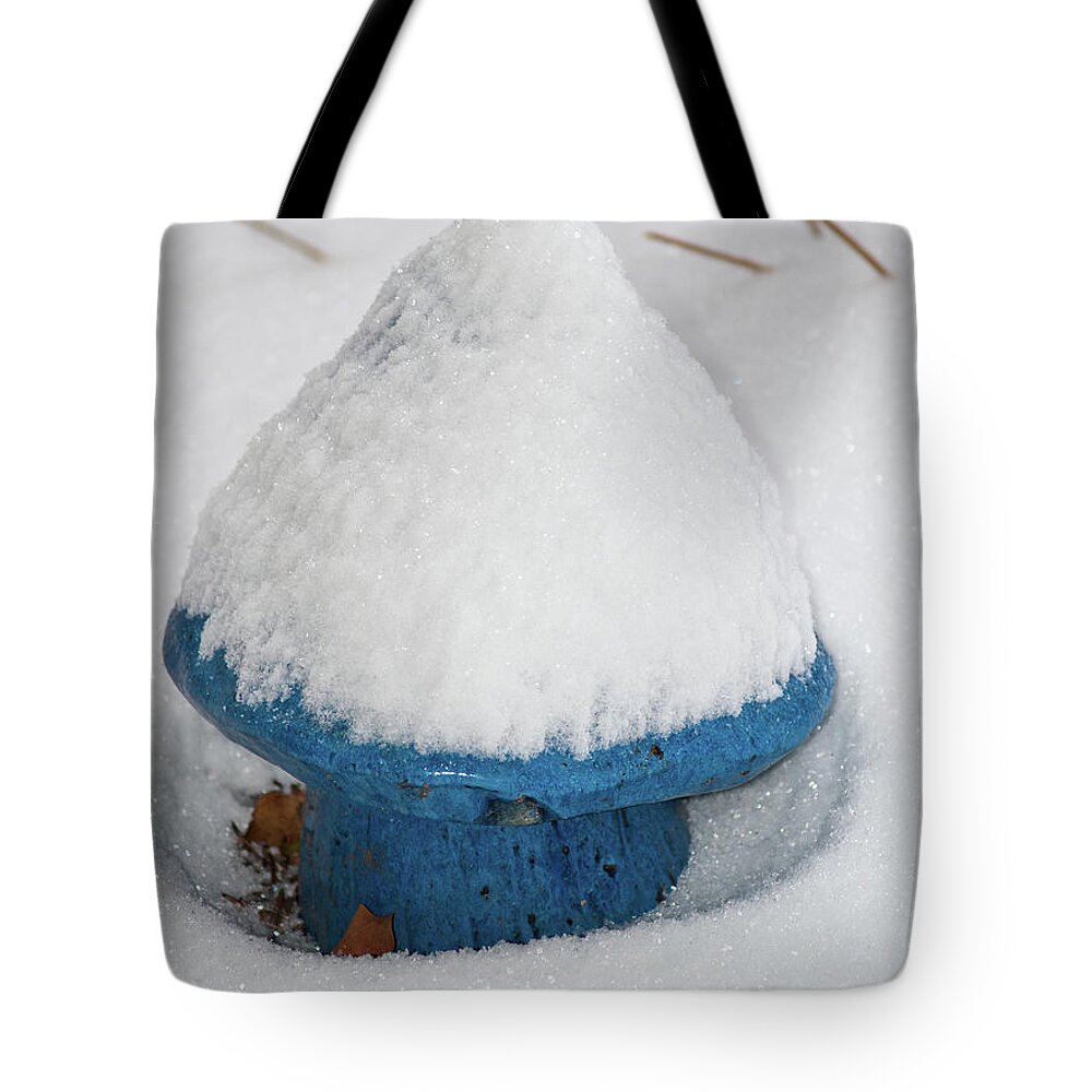 Sc Tote Bag featuring the photograph Blue Mushroom by Charles Hite