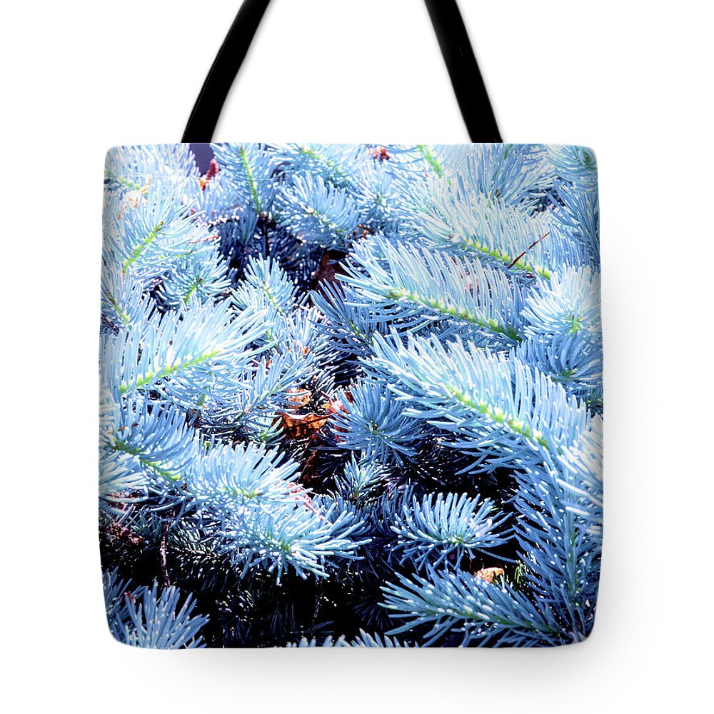 Art Tote Bag featuring the photograph Blue Pine Needles by David Desautel