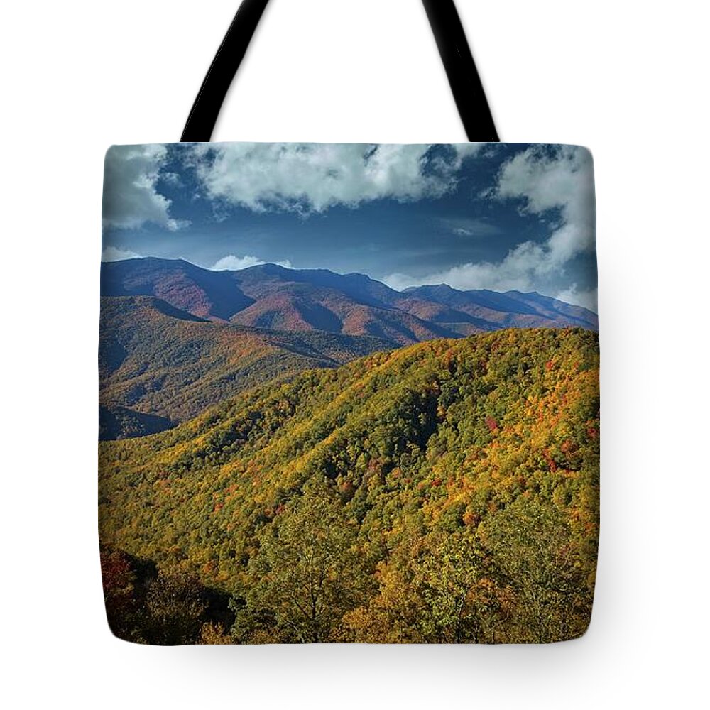 Autumn Tote Bag featuring the photograph Blue Ridge Autumn Color by Ronald Lutz