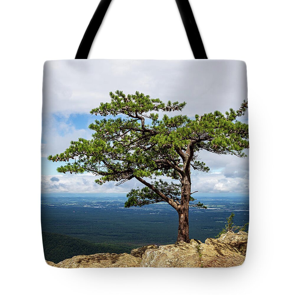 2020 Tote Bag featuring the photograph Blue Ridge Parkway-2 The Sentinel by Charles Hite