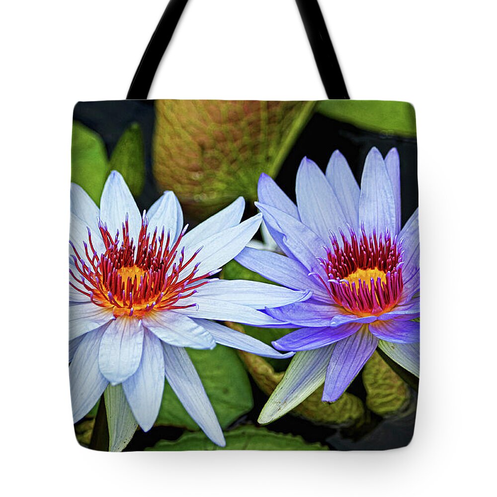 Water Lilies Tote Bag featuring the photograph Blue Water Lilies by Judy Vincent