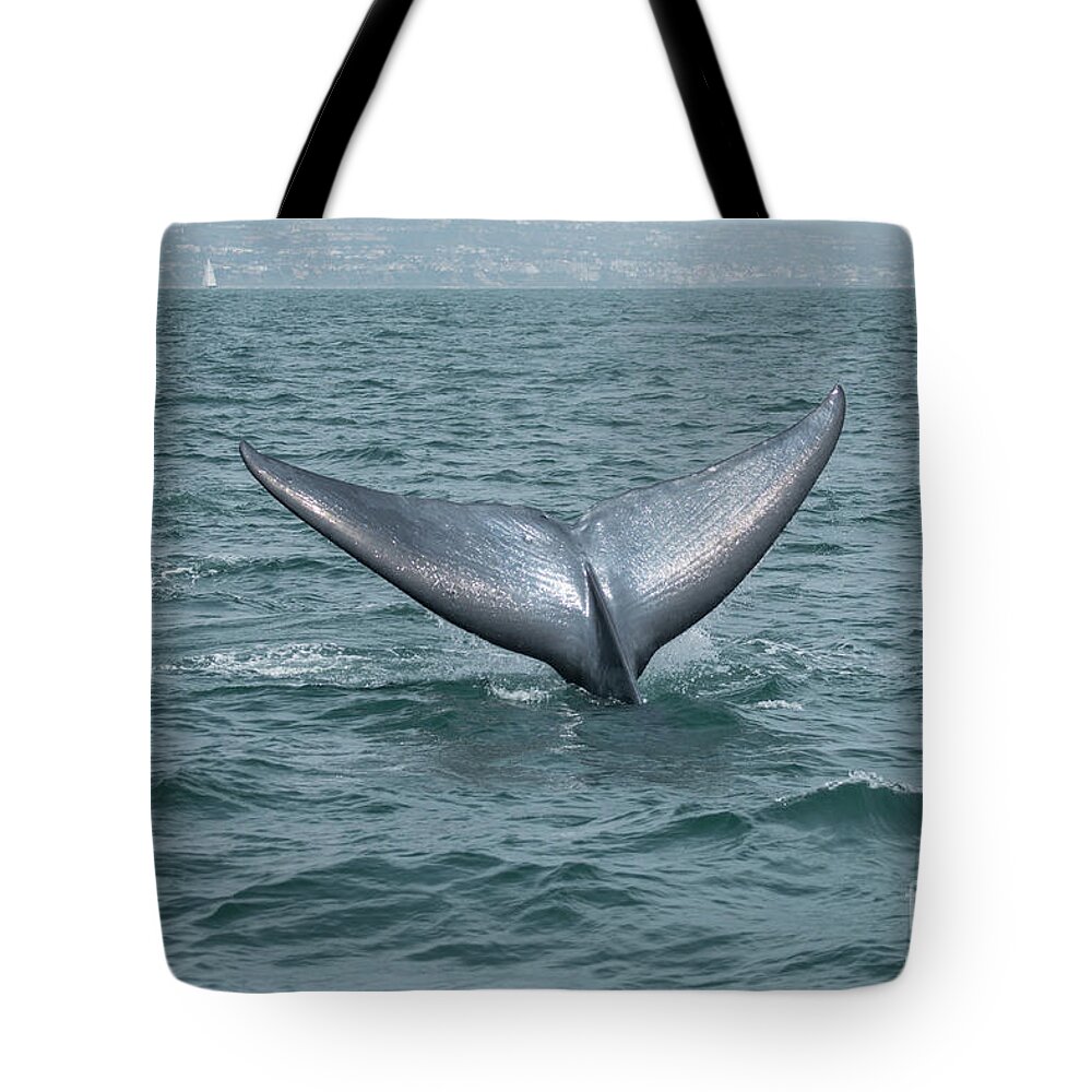  Tote Bag featuring the photograph Blue Whale Fluke Dana Point by Loriannah Hespe