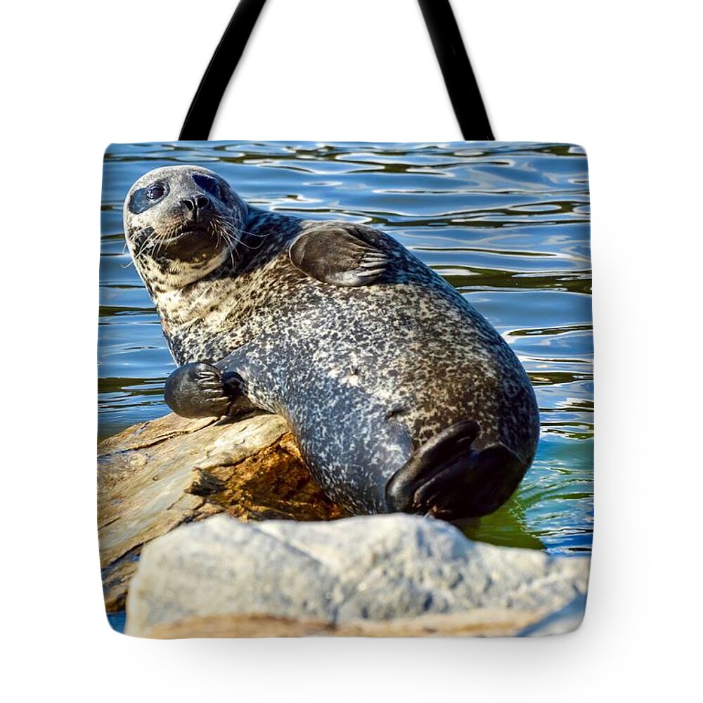 Seal Tote Bag featuring the photograph Bluebell II by Shannon Kelly
