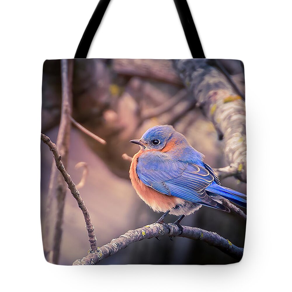 Bluebird Tote Bag featuring the photograph Bluebird in Winter by Allin Sorenson