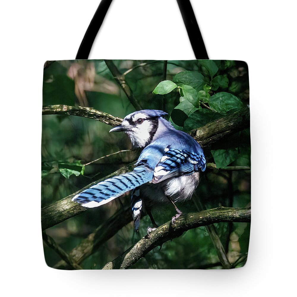 Bird Tote Bag featuring the photograph Bluejay by David Beechum