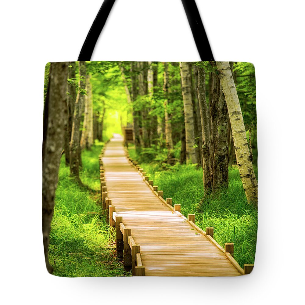 Acadia Tote Bag featuring the photograph Boardwalk in the Forest by Jeff Sinon