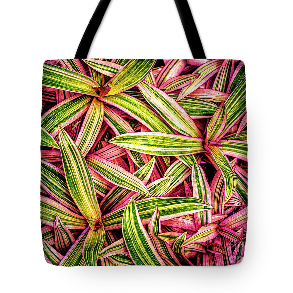 Atlanta Tote Bag featuring the photograph Boat Lily by Nick Zelinsky Jr