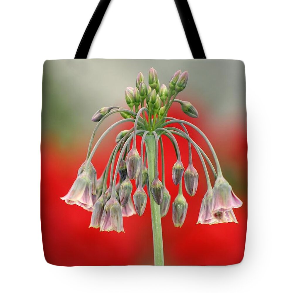 Flowers Tote Bag featuring the photograph Bokeh Bloom by Kimberly Furey