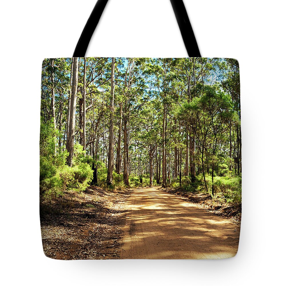 Boranup Tote Bag featuring the photograph Boranup Forest, Margaret River, Western Australia by Elaine Teague