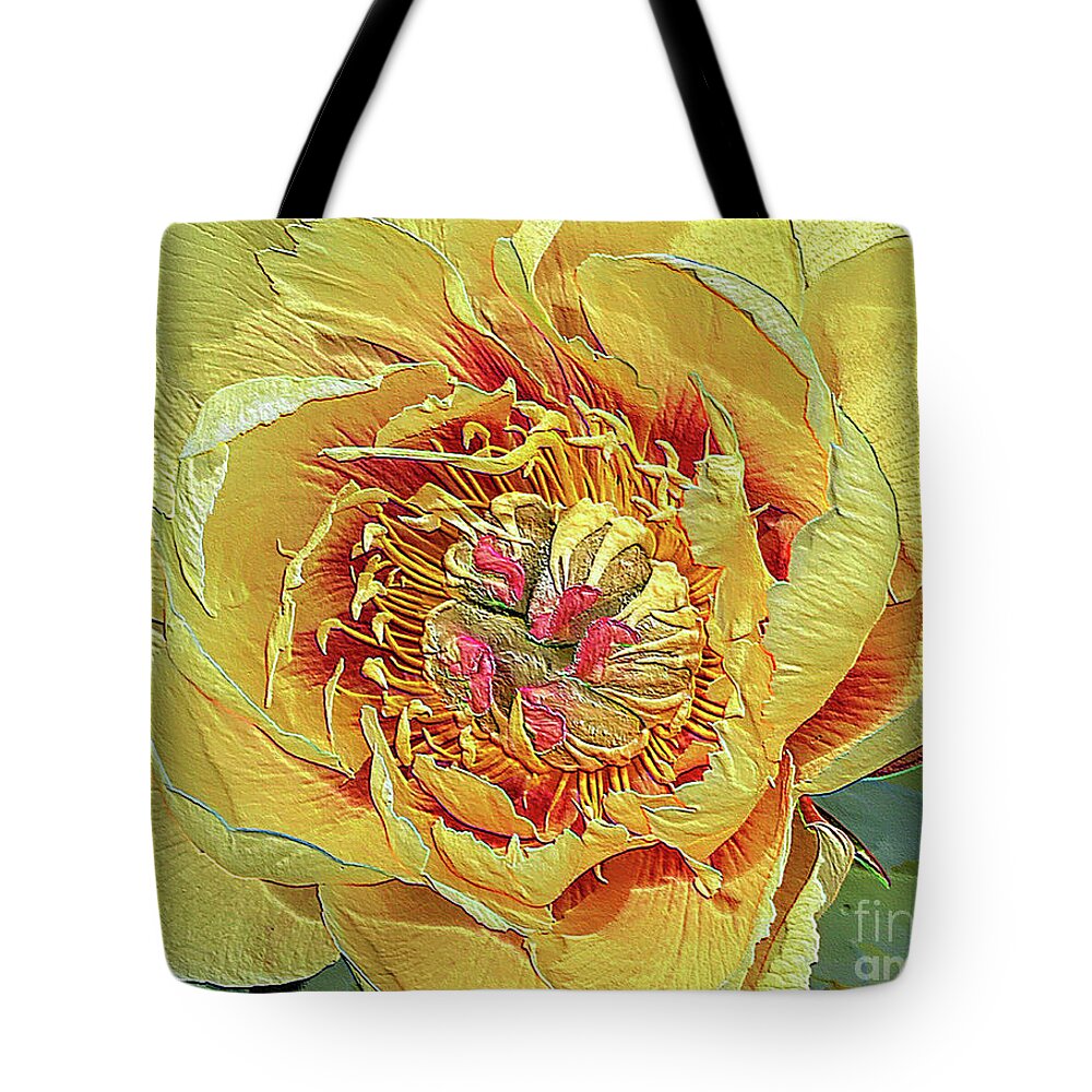 Border Charm Peony Tote Bag featuring the photograph Border Charm Peony by Jeanette French