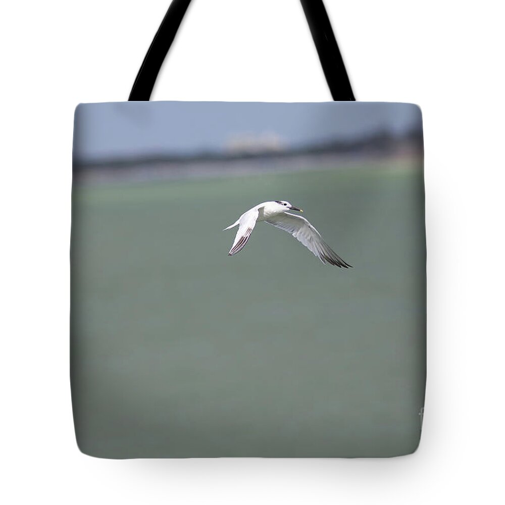 Born Free Tote Bag featuring the photograph Born Free, As Free As A Bird In the Sky by Felix Lai