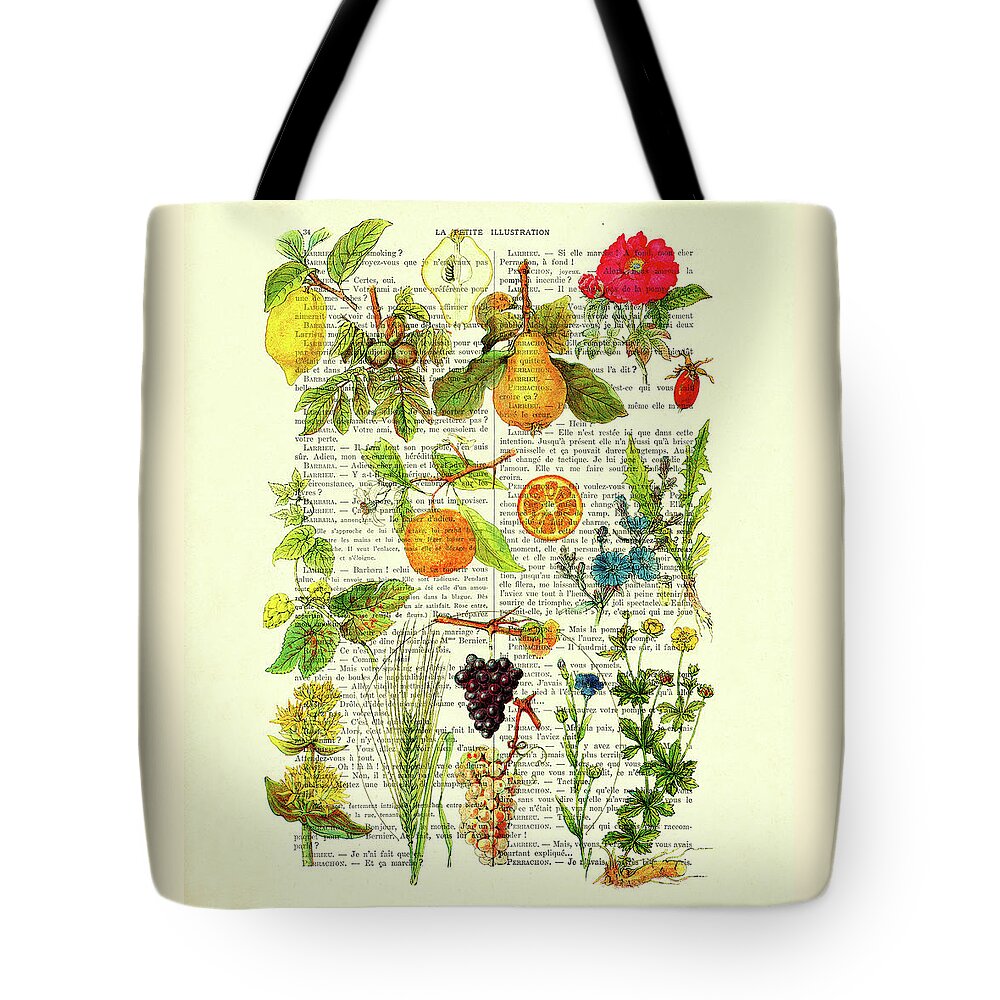 Botanical Tote Bag featuring the digital art Botanical fruit chart in color on antique French book page by Madame Memento