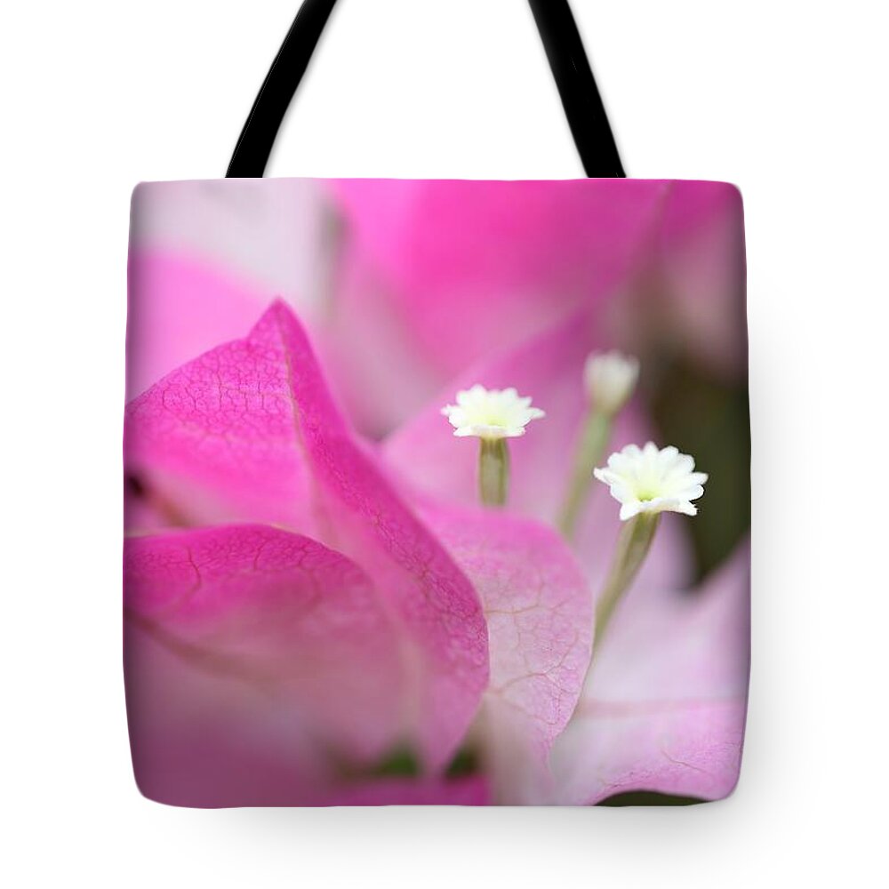 Bougainvillea Tote Bag featuring the photograph Bougainvillea by Mingming Jiang