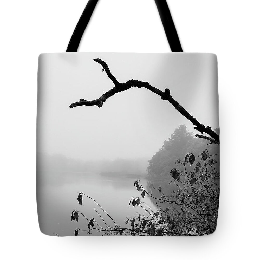 Black And White Tote Bag featuring the photograph Boyden XVIII BW by David Gordon