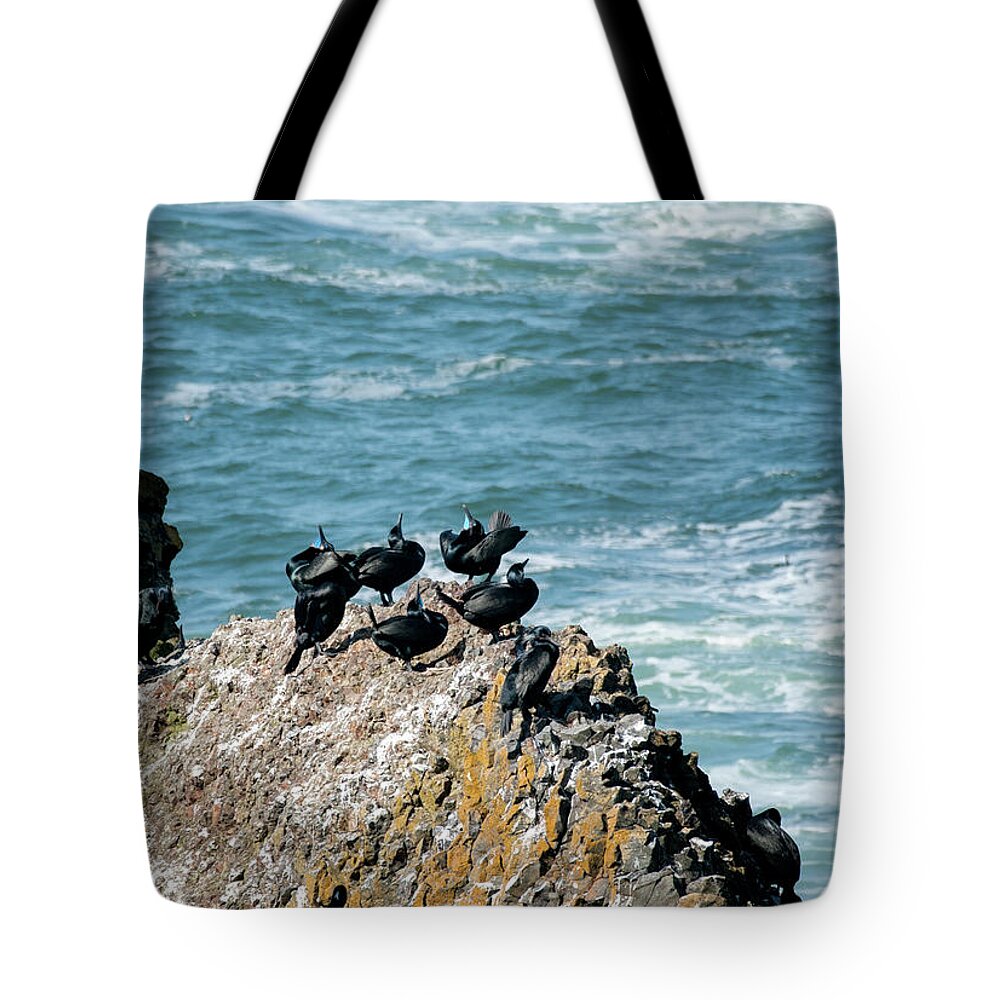 Betty Depee Tote Bag featuring the photograph Brandt's Cormorants by Betty Depee