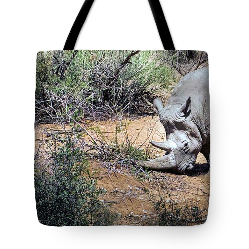Wildlife Tote Bag featuring the photograph Brave Warrior by Laura Putman