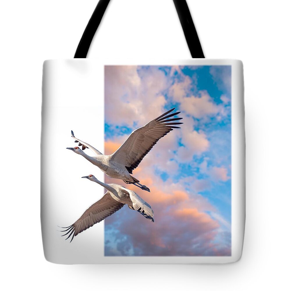 Sandhill Tote Bag featuring the photograph Break Out by Fred J Lord