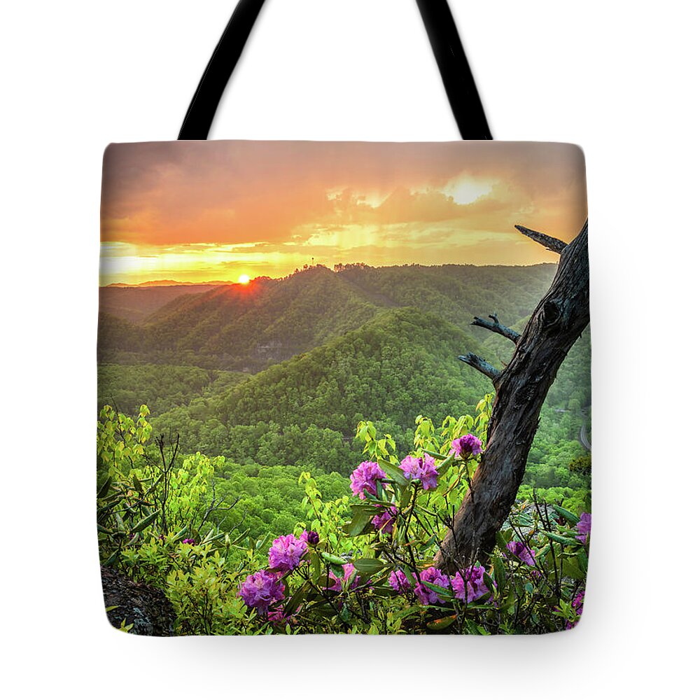 Sunset Tote Bag featuring the photograph Breaks Interstate Park KY VA Sunset Scenic Rhododendron by Robert Stephens