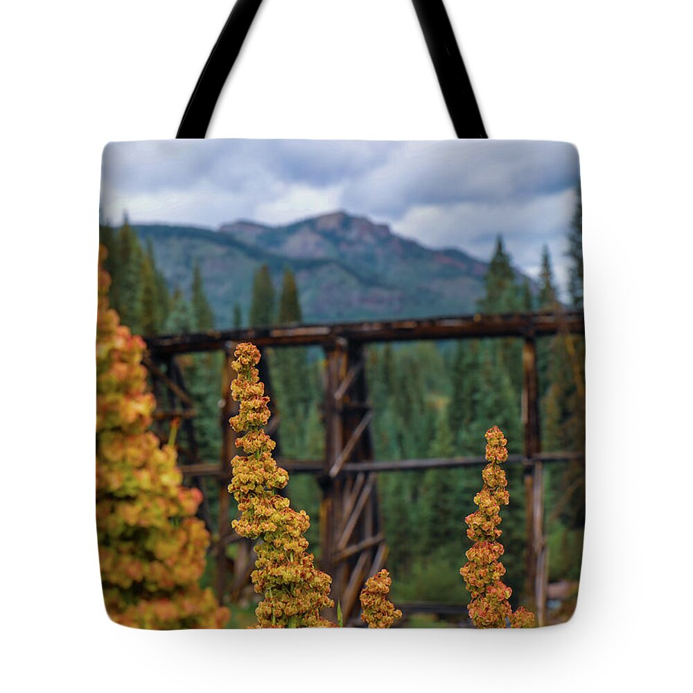 Mountain Tote Bag featuring the photograph Bridge in the Background by Go and Flow Photos