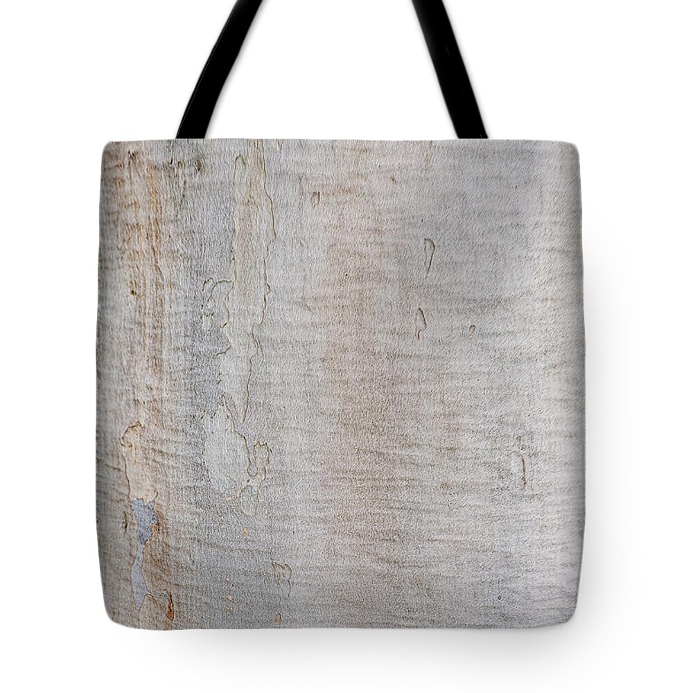 Australia Tote Bag featuring the photograph White Bark by Jay Heifetz