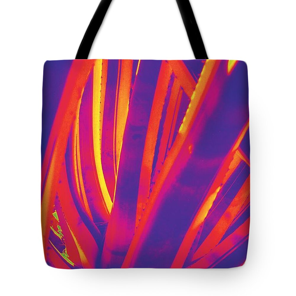 Cactus Tote Bag featuring the photograph Bright Cactus by Vivian Aumond
