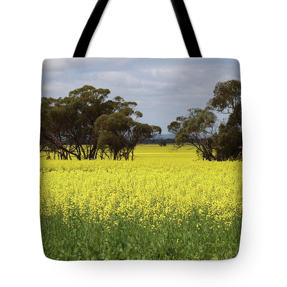 Canola Tote Bag featuring the photograph Bright Yellow Canola by Michaela Perryman