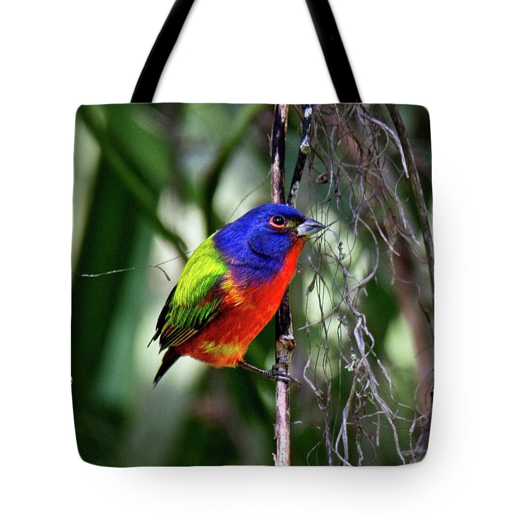 Bird Tote Bag featuring the photograph Brightly colored Male Painted Bunting by Ronald Lutz