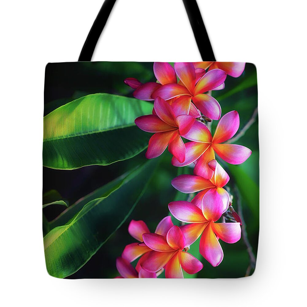 Plumerias Tote Bag featuring the photograph Brilliant and Moody Plumerias by Jade Moon