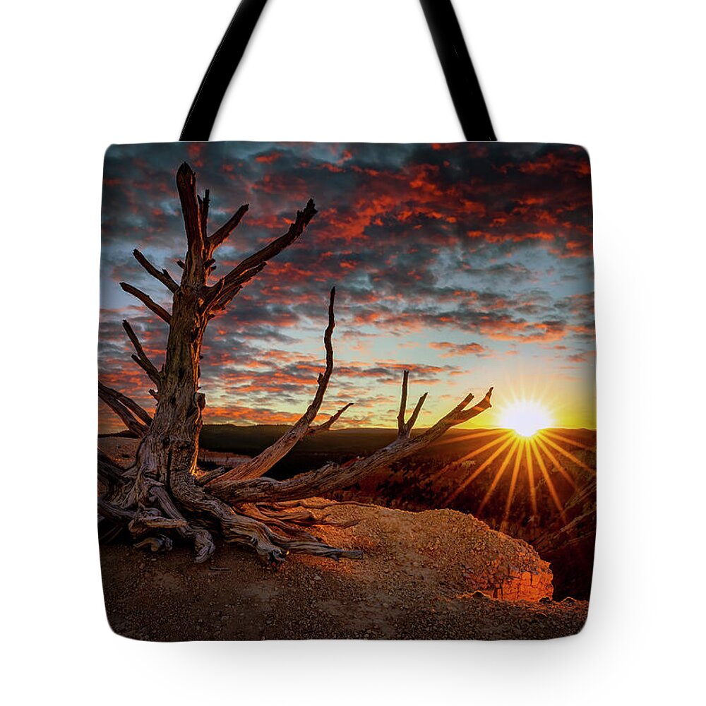 Bristlecone Tote Bag featuring the photograph Bristlecone Sunset by David Soldano