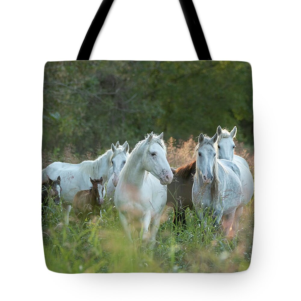Broadfoot Tote Bag featuring the photograph Broadfoot at Sunset by Holly Ross