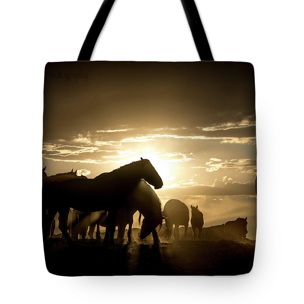 Wild Horses Tote Bag featuring the photograph Bronze Sky Dust by Dirk Johnson