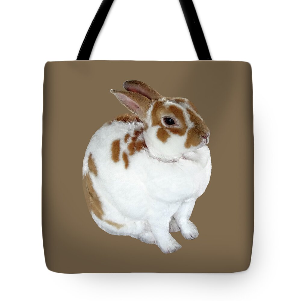 Animal Tote Bag featuring the photograph Brown and White Rex Rabbit by Susan Savad