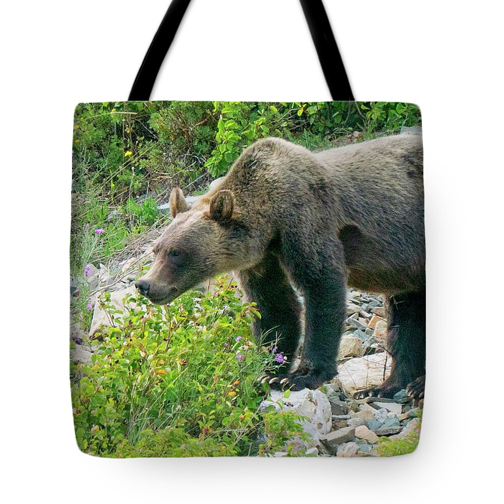 Bear Tote Bag featuring the photograph Brown Bear by Rick Wilking