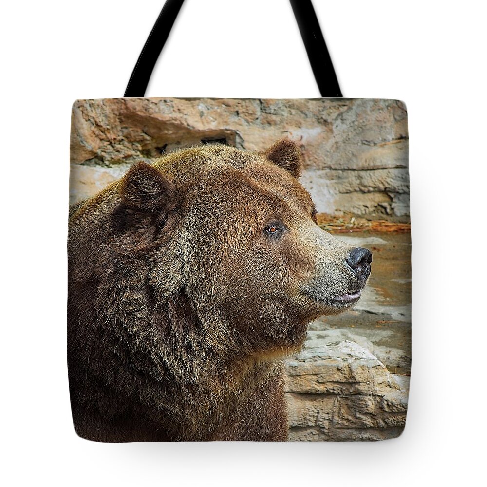 Brown Tote Bag featuring the photograph Brown bear sitting quietly, relaxing by Loren Gilbert