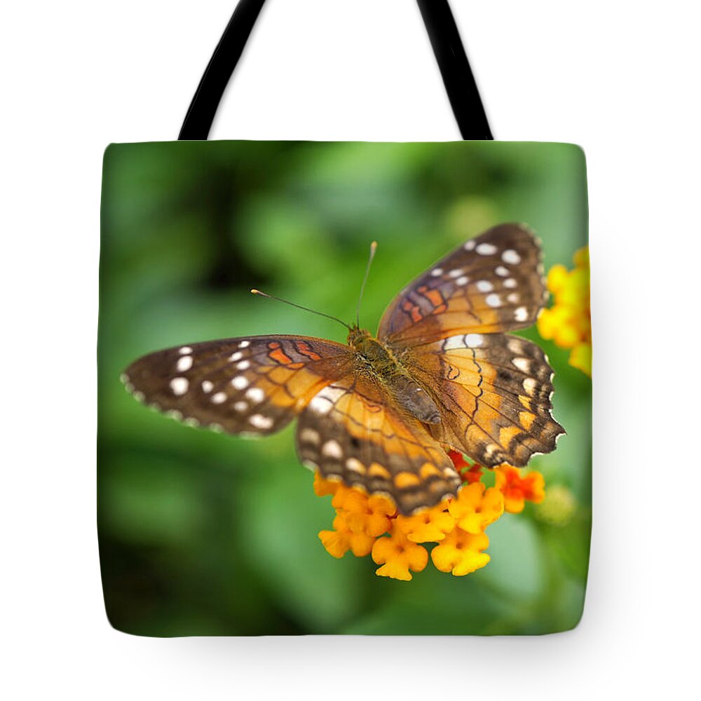 Butterfly Tote Bag featuring the photograph Brown Peacock Butterfly by Rona Black