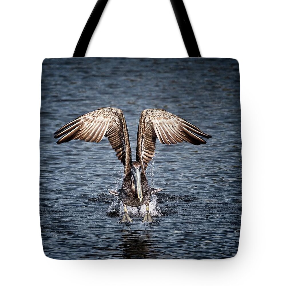 Bird Tote Bag featuring the photograph Brown Pelican Airborne by Ronald Lutz