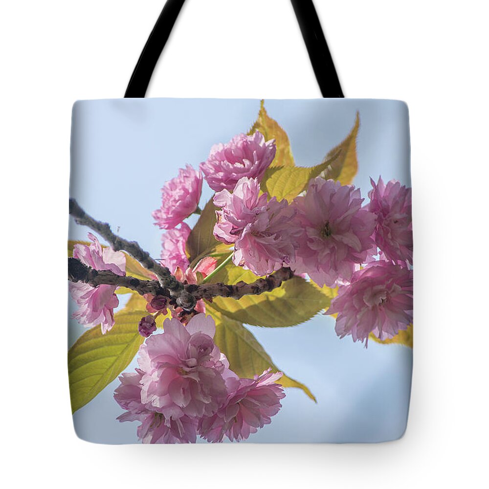 Brunswick Woods Tote Bag featuring the photograph Brunswick Woods Leaves Spring 2 by Edmund Peston
