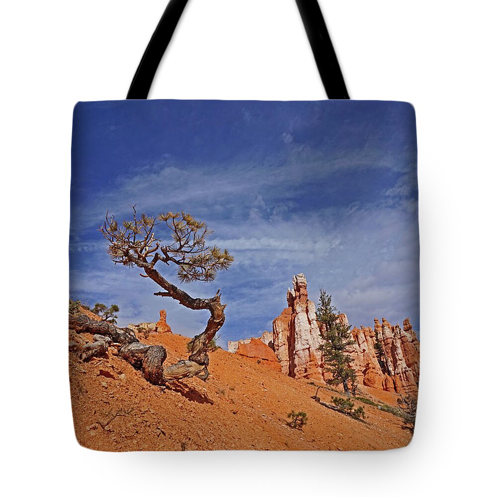 Bryce Canyon National Park Tote Bag featuring the photograph Bryce Canyon National Park - Shaped by the Wind by Yvonne Jasinski