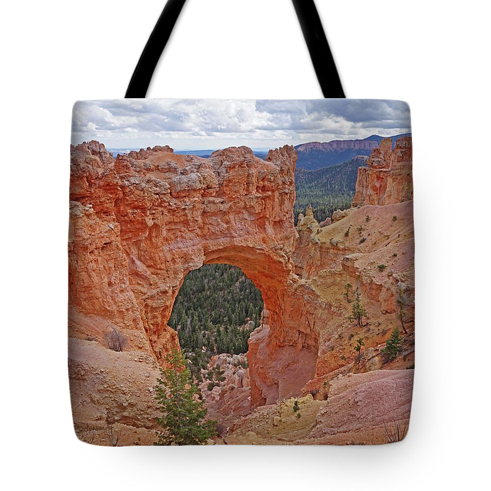 Bryce Canyon National Park Tote Bag featuring the photograph Bryce Canyon National Park - Window by Yvonne Jasinski