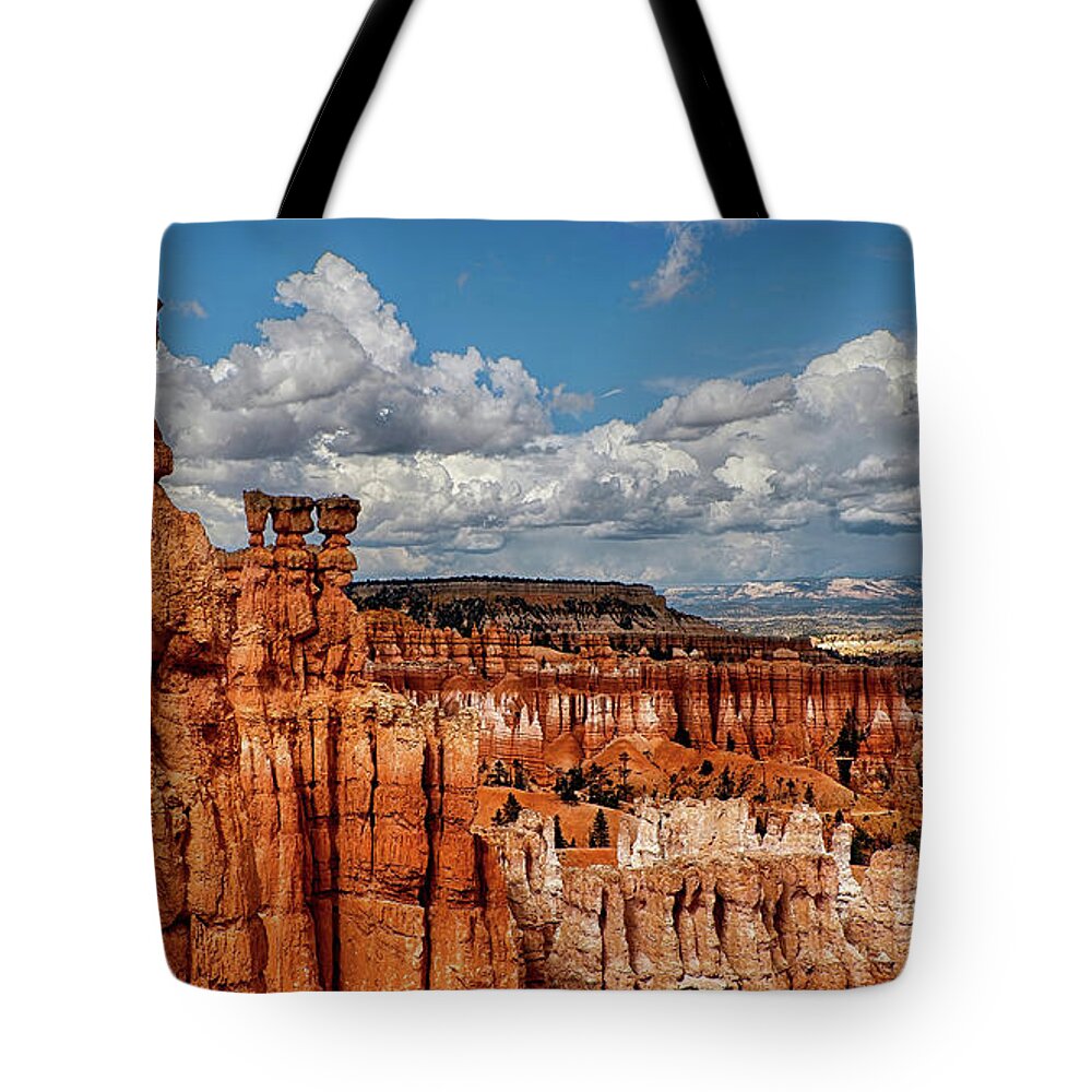 Bryce Tote Bag featuring the photograph Bryce Canyon on a Beautiful Day by David Soldano