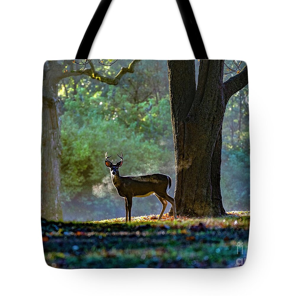 White Tailed Deer Tote Bag featuring the photograph Buck Breath by Sandra Rust