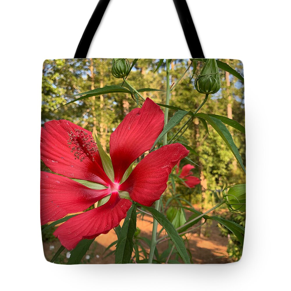 Flower Tote Bag featuring the photograph Budding Amongst Beauty by Lee Darnell