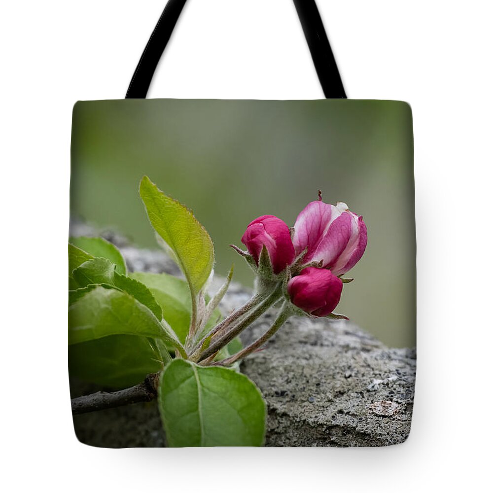 Bud Tote Bag featuring the photograph Best Buds by Linda Bonaccorsi
