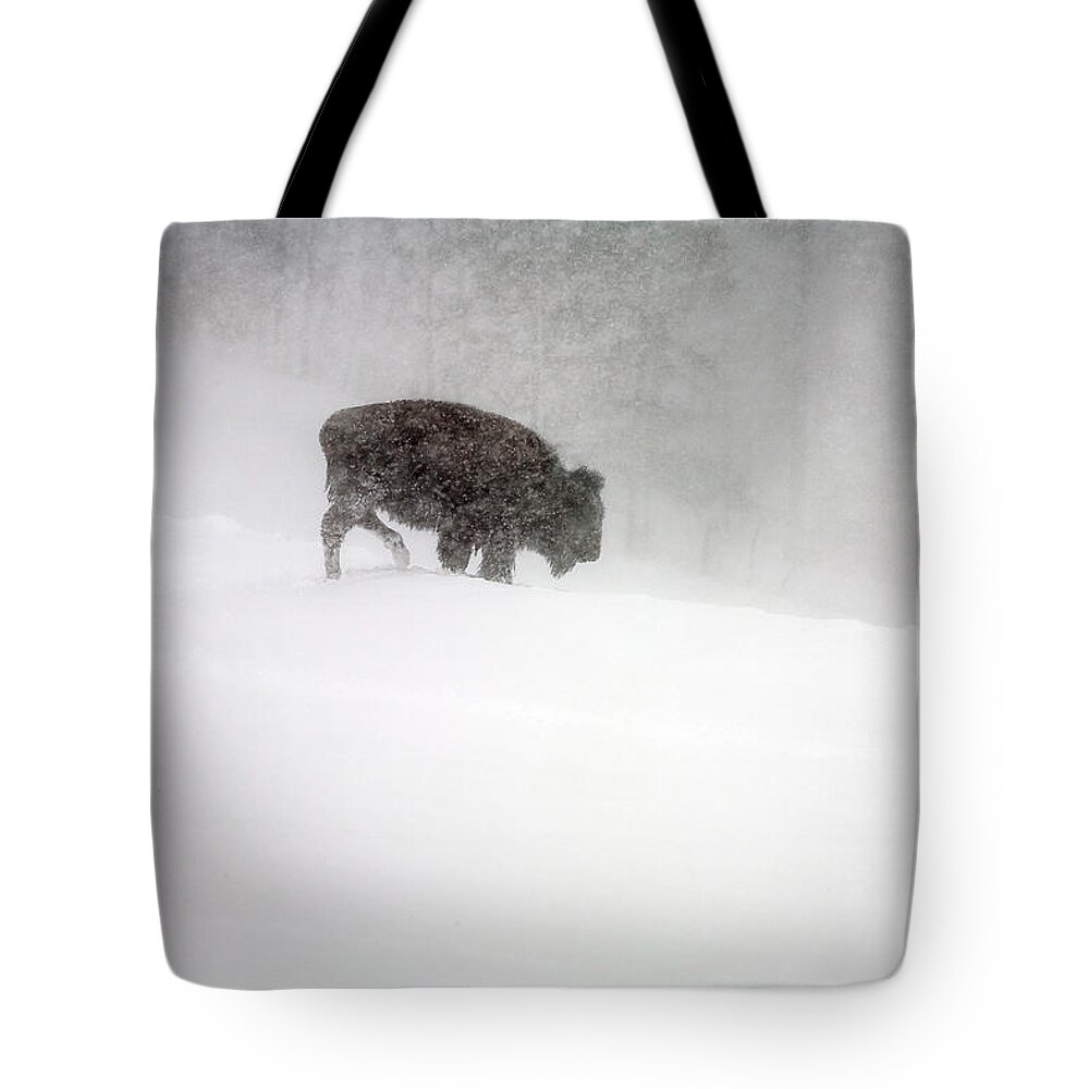 Winter Tote Bag featuring the photograph Buffalo in Winter Storm by Craig J Satterlee
