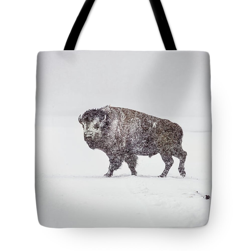 Buffalo Tote Bag featuring the photograph Buffalo in Yellowstone Winter by Craig J Satterlee