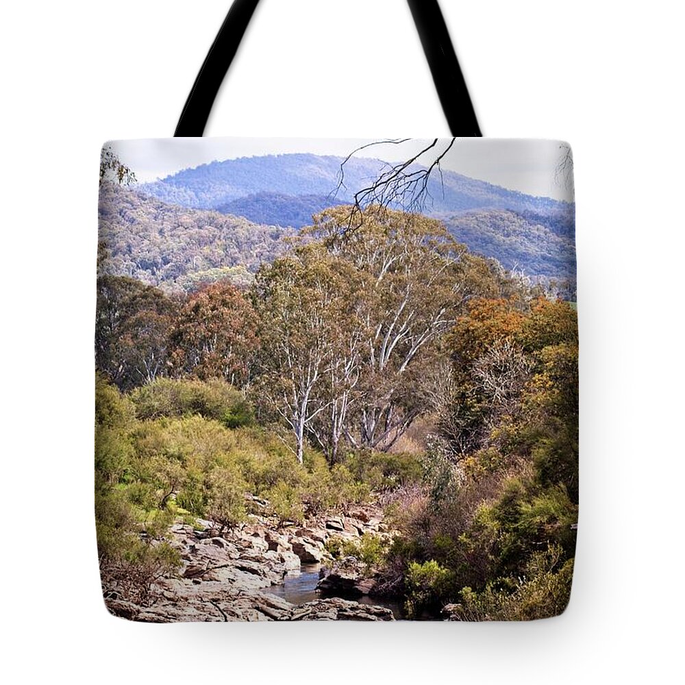 River Tote Bag featuring the photograph Buffalo River by Linda Lees