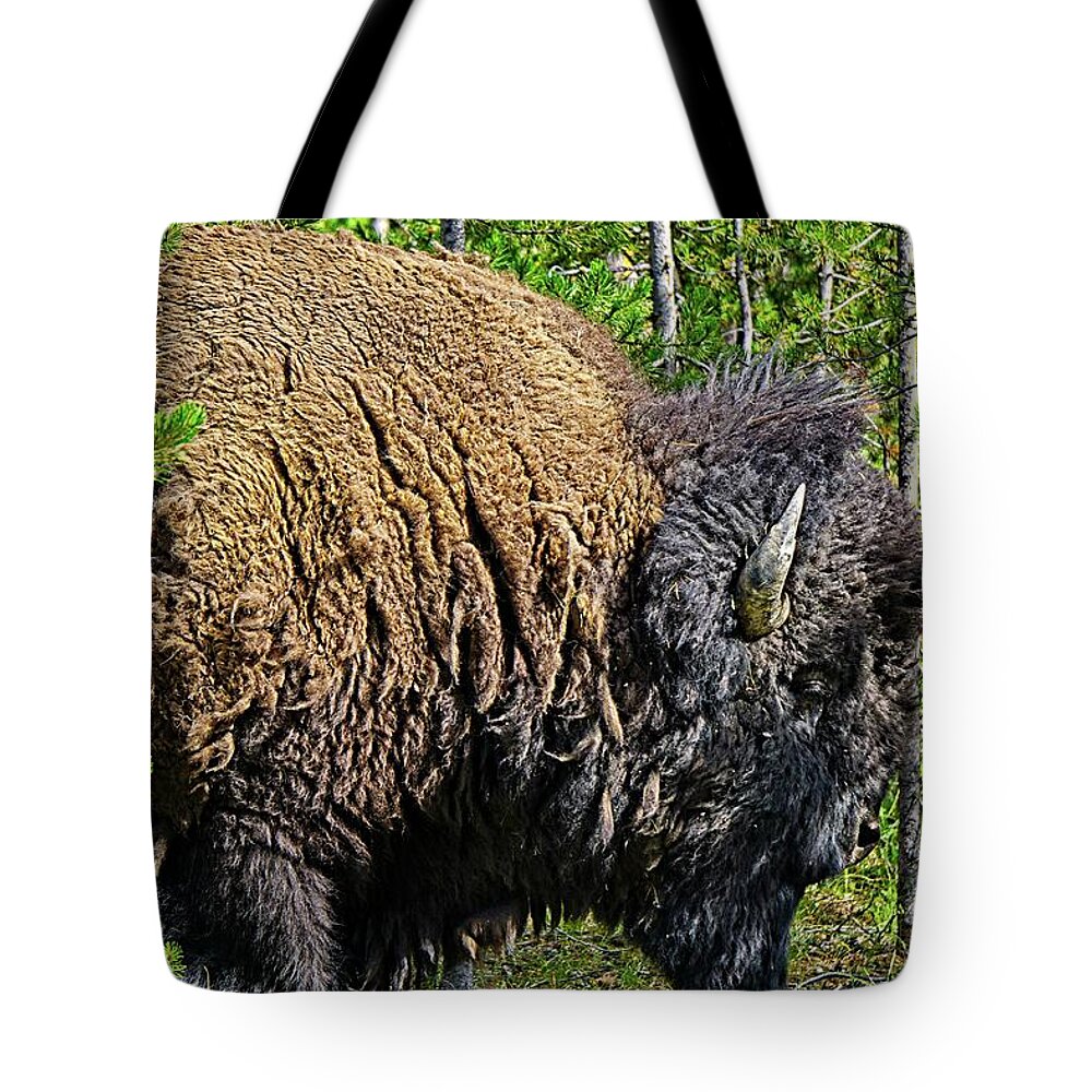 Animal Tote Bag featuring the photograph Buffalo Silhouette by David Desautel