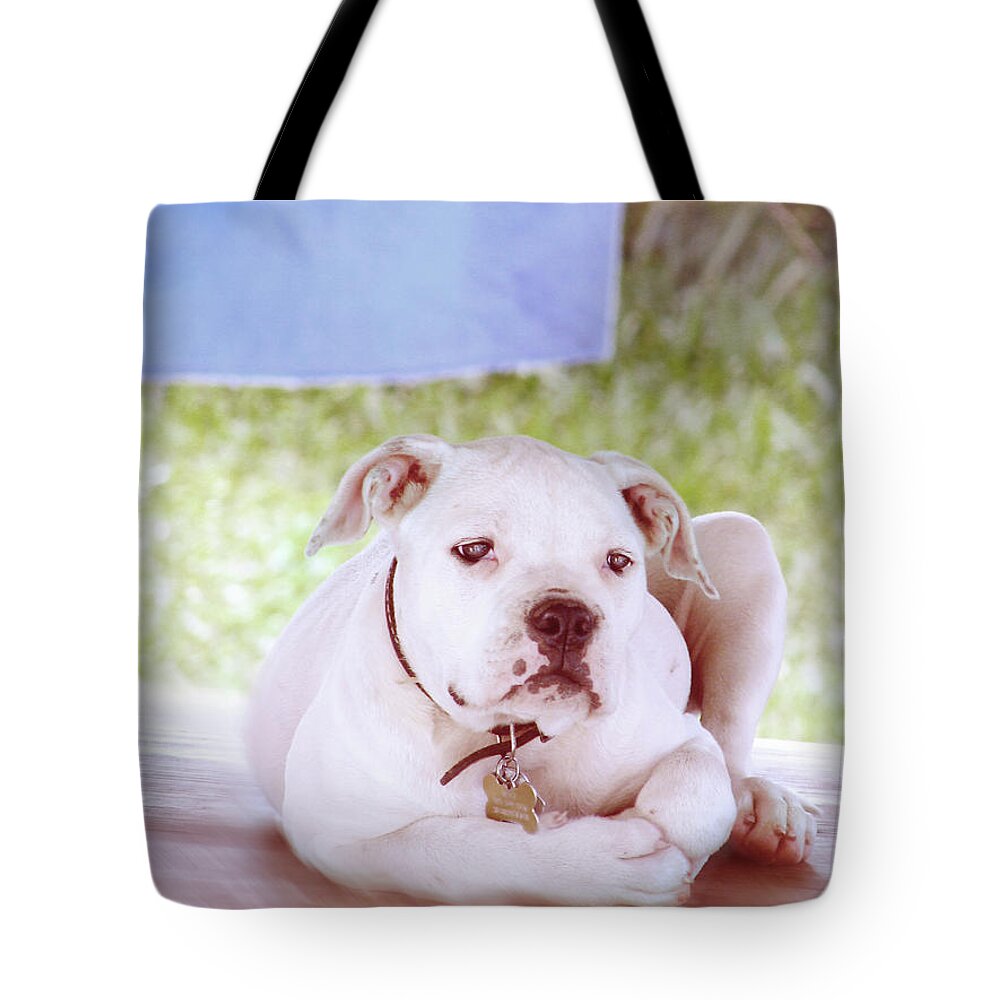 Art Tote Bag featuring the digital art Bulldog Rana Art 80	 by Miss Pet Sitter